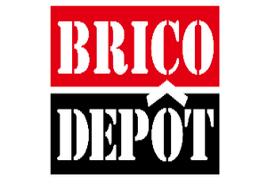 logo BRICODEPOT